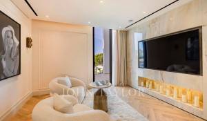 Pronájem Vila Jumeirah Islands