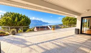 Pronájem Vila Montreux