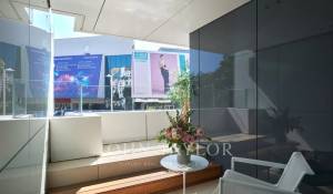 Sezónní pronájem Byt Cannes