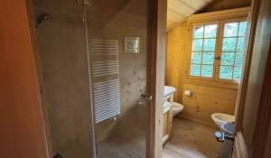 Sezónní pronájem Chalet Gstaad