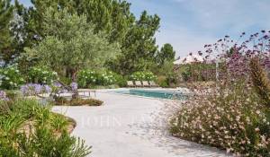 Sezónní pronájem Dům Carvalhal