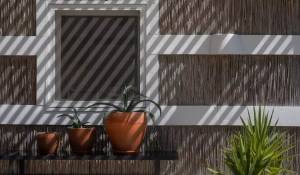 Sezónní pronájem Dům Comporta