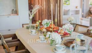 Sezónní pronájem Dům Mougins