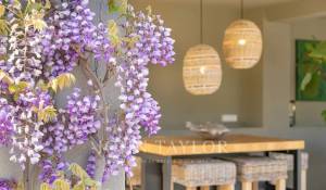 Sezónní pronájem Dům Valbonne