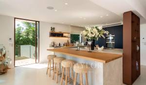 Sezónní pronájem Vila Cap Martinet