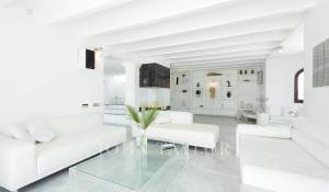 Sezónní pronájem Vila Port Roig