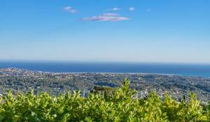 Sezónní pronájem Vila Vence