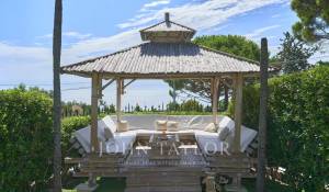 Sezónní pronájem Vlastnictví Cannes