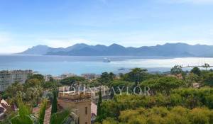 Sezónní pronájem Vlastnictví Cannes