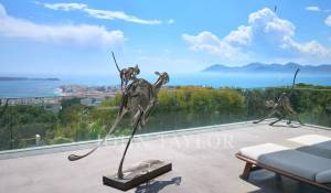 Sezónní pronájem Vlastnictví Cannes