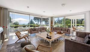 Sezónní pronájem Vlastnictví Cannes