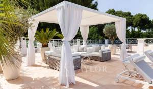 Sezónní pronájem Vlastnictví Cannes