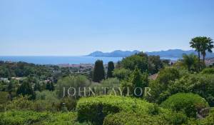 Sezónní pronájem Vlastnictví Cannes