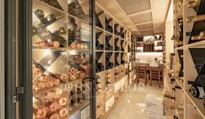 Sezónní pronájem Vlastnictví Cannes