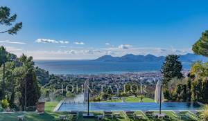 Sezónní pronájem Vlastnictví Cannes