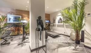 Sezónní pronájem Vlastnictví Cannes