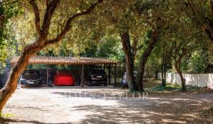 Sezónní pronájem Vlastnictví La Colle-sur-Loup