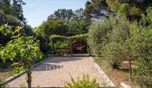 Sezónní pronájem Vlastnictví Saint-Tropez