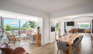 Událost Vlastnictví Cannes