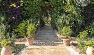 Událost Vlastnictví Cannes