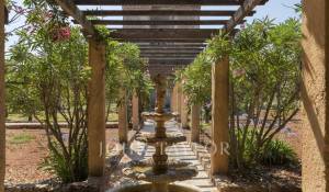 Událost Vlastnictví Cannes