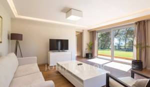 Událost Vlastnictví Cannes